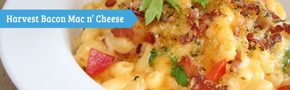 Harvest Bacon Mac n' Cheese