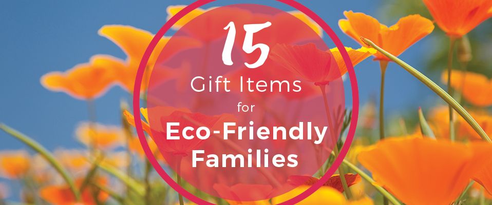 15 gift items for eco-friendly families