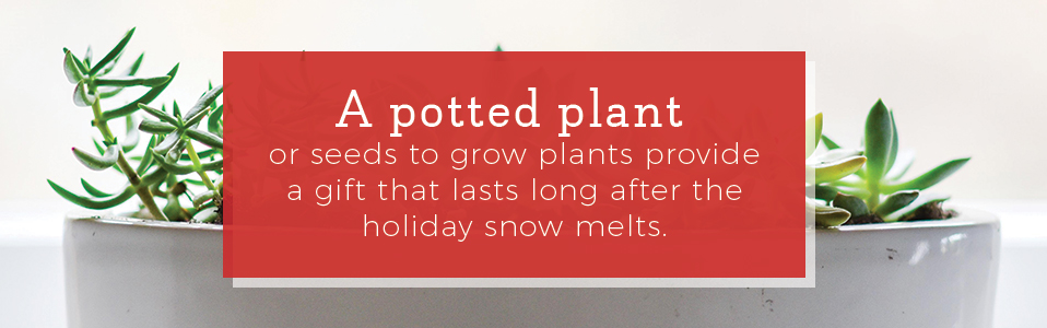 potted-plant-gift