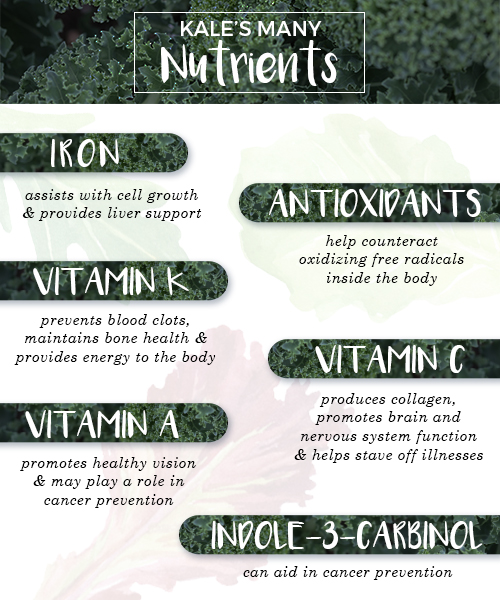 Nutrients found in Kale