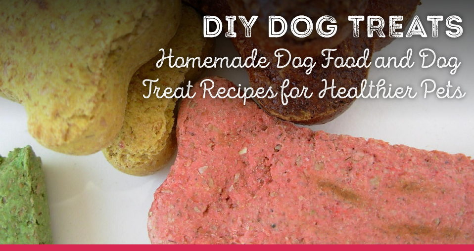 Homemade Dog Food and Dog Treat Recipes