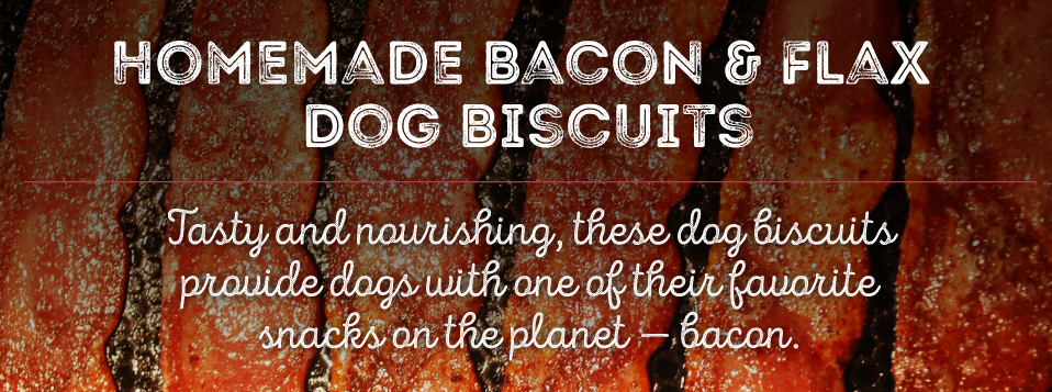 Homemade Bacon & Flax Dog Biscuits